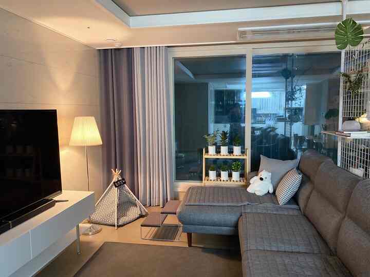 Gray and natural wood-tone living room featuring a spacious sofa, pet steps, and plants creating a cozy atmosphere