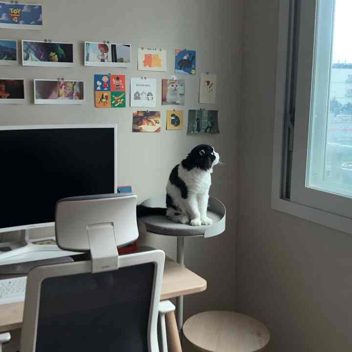 落ち着いた色調のホームオフィス空間、デスクとオフィスチェア、窓際に座る猫、そして壁面のアートが配置された居心地の良い作業部屋