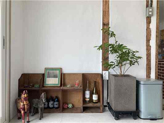 ナチュラルな色調のリビングルーム、木製の棚と大きな観葉植物が印象的な空間