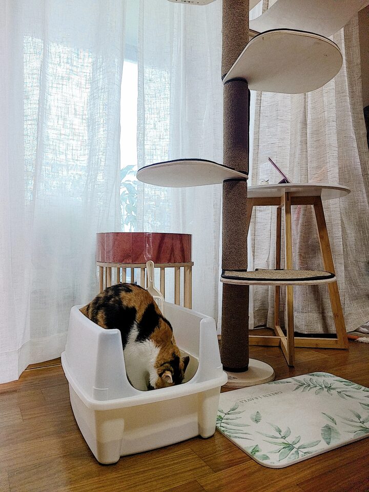 short form carousel card thumbnail