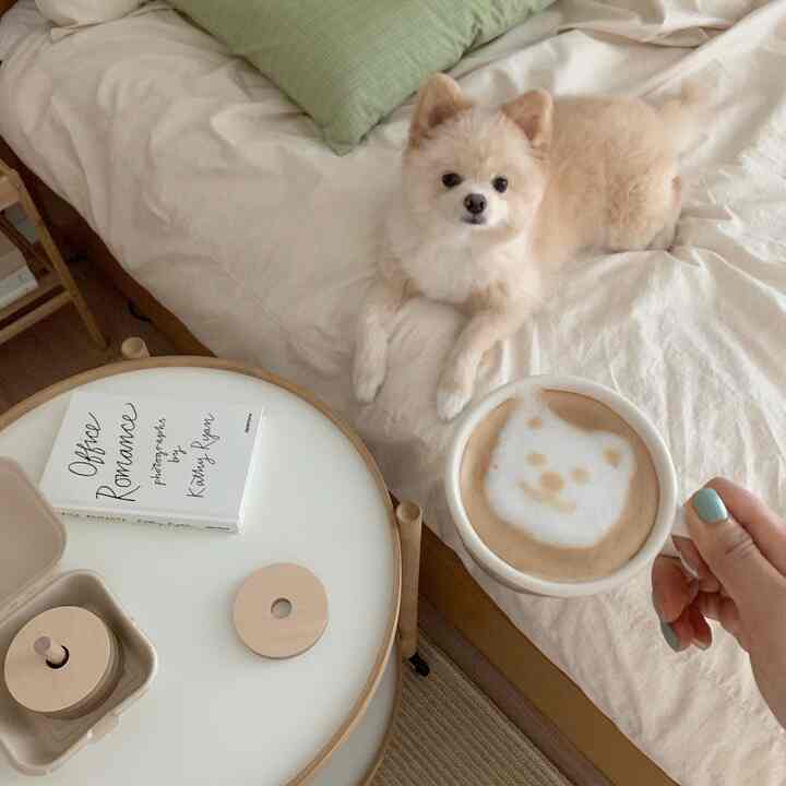 ホワイトとウッドトーンの寝室、ミニ丸型ナイトテーブルとベージュ色の犬がいる、居心地の良いおうちカフェの雰囲気のあるインテリア