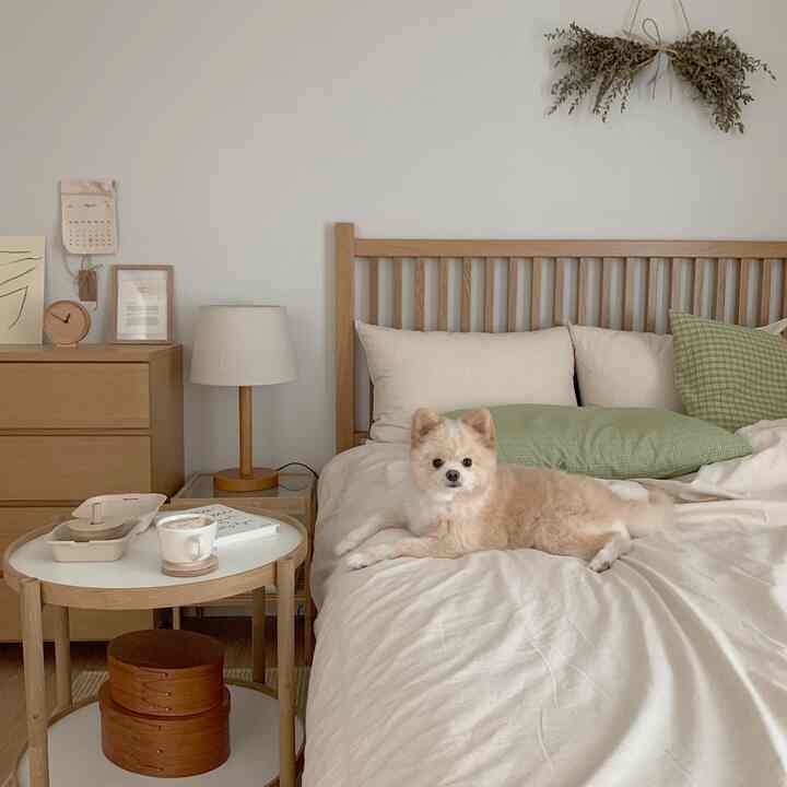 木目調と白を基調とした寝室、大きなベッドとテーブルランプのナイトテーブルがあり、ベッドの上に小型犬がくつろぐ雰囲気のあるインテリア