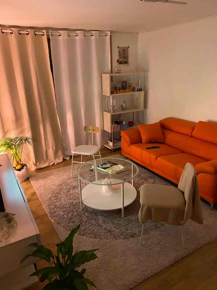 Modern living room with an orange sofa and a gray shag rug, creating a warm atmosphere