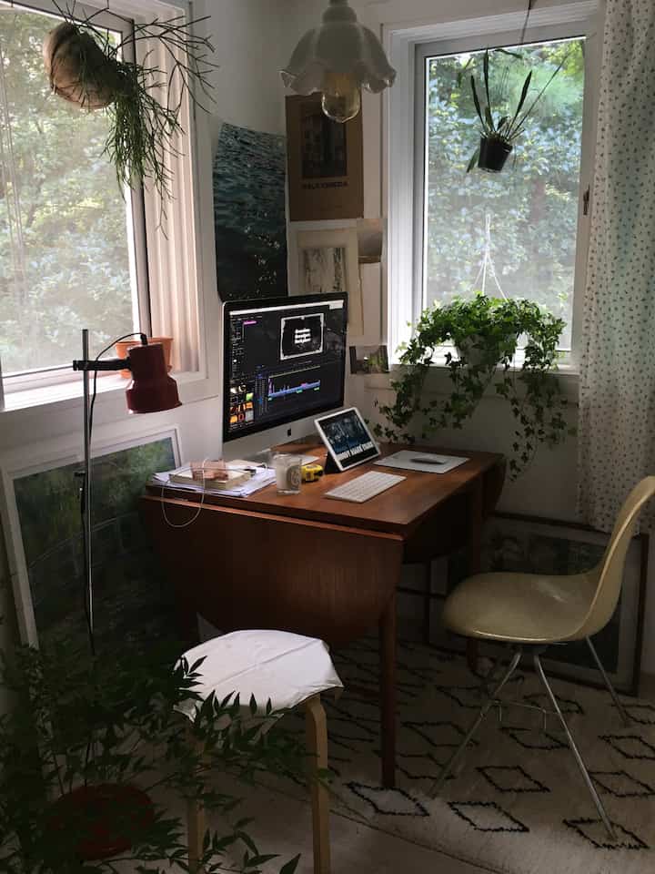 Natural-tone home office space featuring wooden dining table and various plants for a cozy workspace
