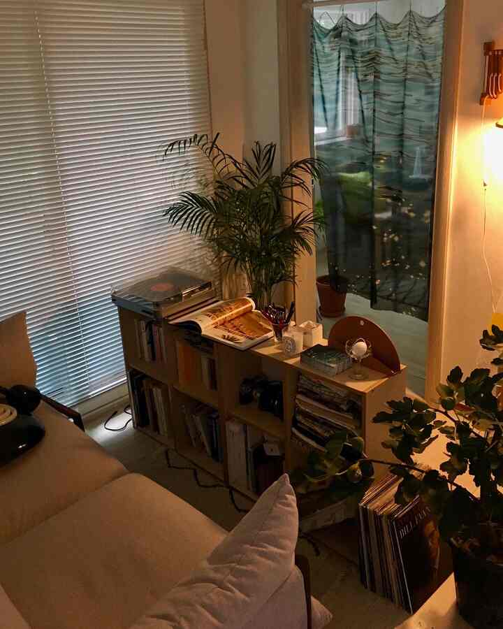 Natural color toned living room featuring beige sofa, white blinds, and green plants with a cozy atmosphere