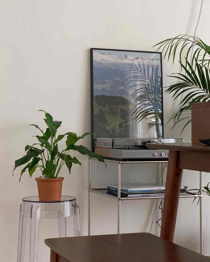 透明なスツールの上に置かれた植物とターンテーブルがある自然なモダンなリビングインテリア