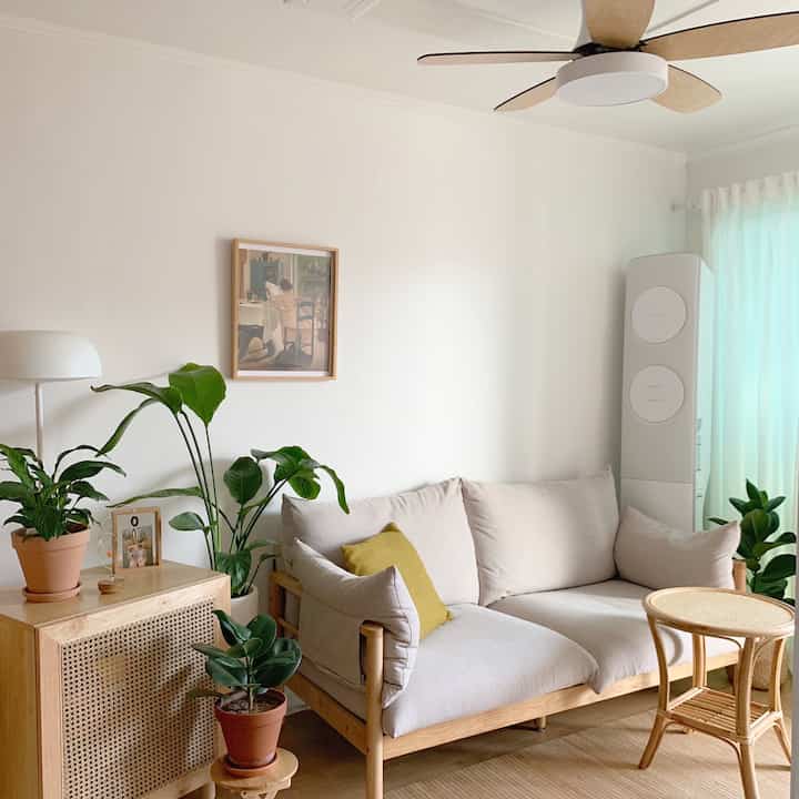 明るい木目調とナチュラルな家具、植物が配置された清潔感のあるリビング