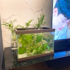 티비옆공간에 저의뽀시래기 친구들 구피어항이 차지하고있어용
집에 생명들이살아숨쉬니까
저절로힐링되어용🥰
