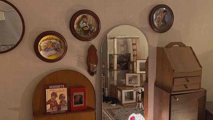 ブラウンの木目調家具と丸い壁飾りが配されたナチュラルな雰囲気の壁面と猫が見える印象的な空間