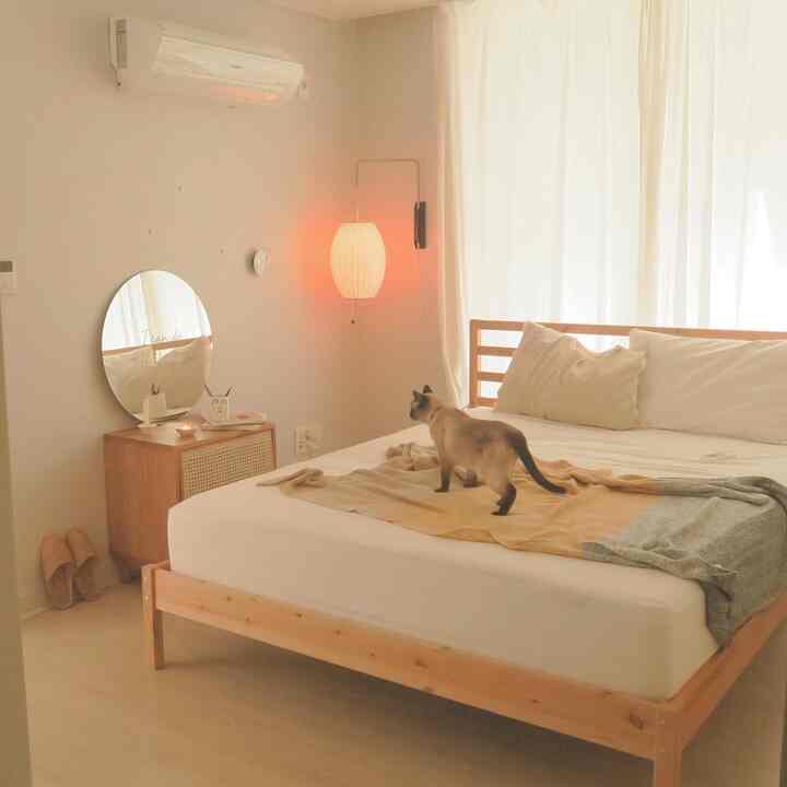 White and wood-tone bedroom featuring a round mirror, nightstand, and a cat creating a warm atmosphere