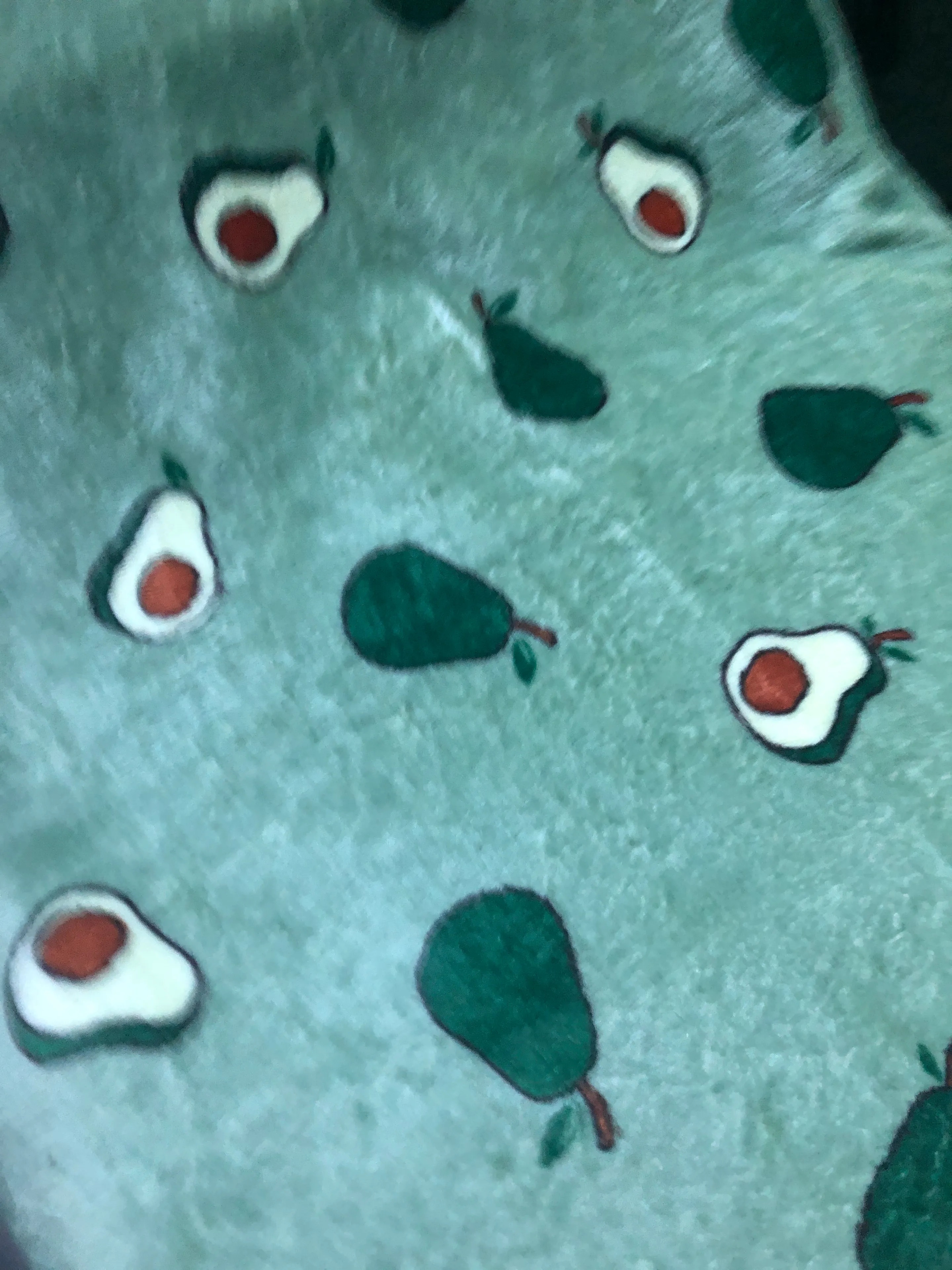 Avocado Microfiber Blanket & Comforter user photo