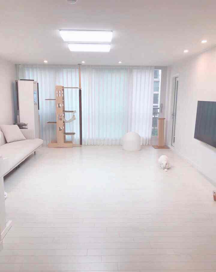 白とベージュ調のリビング、ミニマルなソファとキャットタワーが配置された落ち着いた空間