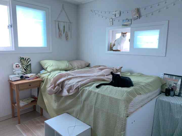 White-walled bedroom with green bedding, featuring two cats and a wooden nightstand in a cozy setting