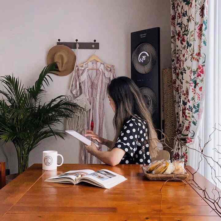 Natural wood tone dining room by window featuring a wooden dining table and plants, with a cozy atmosphere for coffee and work