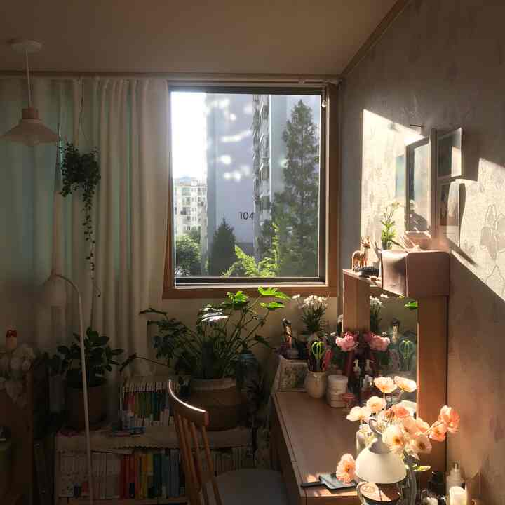 A cozy natural-toned bedroom featuring a vanity and abundant plants bathed in warm afternoon sunlight