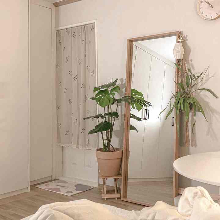 白い壁とナチュラルウッド家具、大きなモンステラ植物が配置された居心地の良い寝室のインテリア