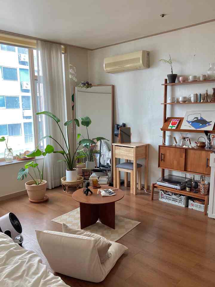 Natural wood tone and white studio apartment living room featuring plants and small wooden furniture with cozy atmosphere