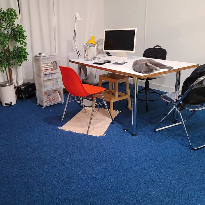 Blue carpeted compact home office with a white desk and various chairs, featuring a cat resting on the desk