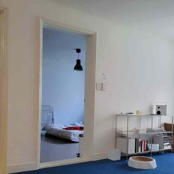 Cozy bedroom with blue carpet and white walls, featuring a minimalist shelf in a compact living space