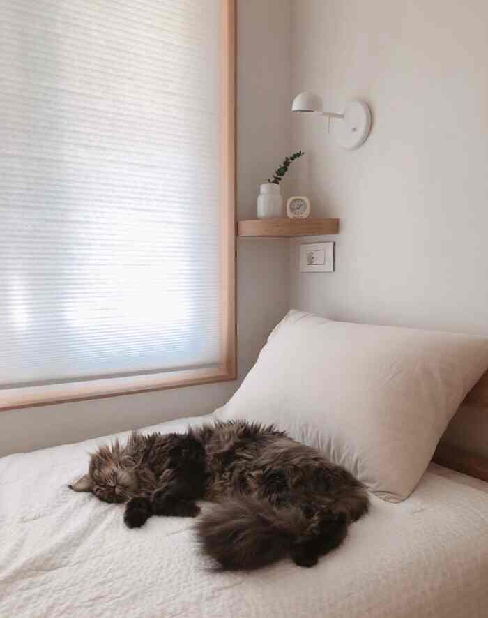 ホワイトと木目調の寝室、ベッドの上で寝ている猫がいるミニマルな空間