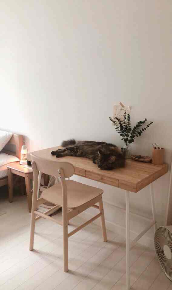 Natural wood-tone small workspace featuring a desk with a cat resting on top, creating a cozy atmosphere