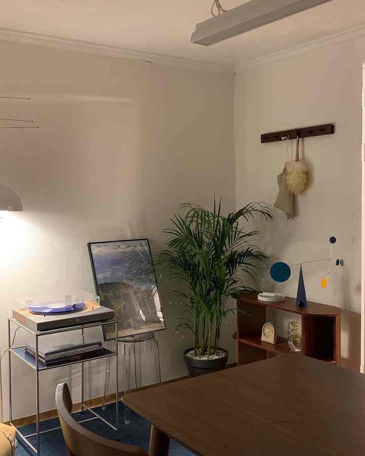 ナチュラルな木目調と透明感のあるアイテムが配置されたダイニングルーム、大きなアレカヤシとレトロなヴィンテージアイテムがある雰囲気の良い空間