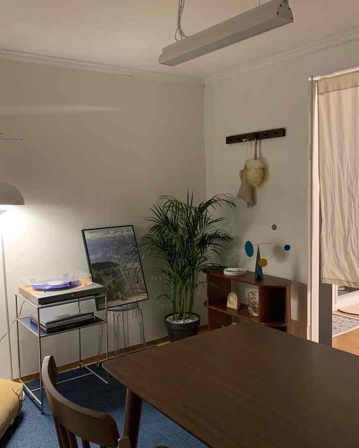 白い壁と茶色のダイニングテーブル、緑の植物が配置されたシンプルでナチュラルなダイニング空間