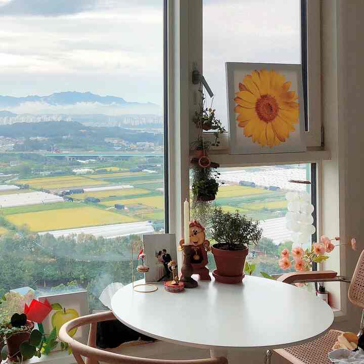 Natural-toned living room featuring a round dining table, rattan chairs, and various plants creating a cozy newlywed couple's space