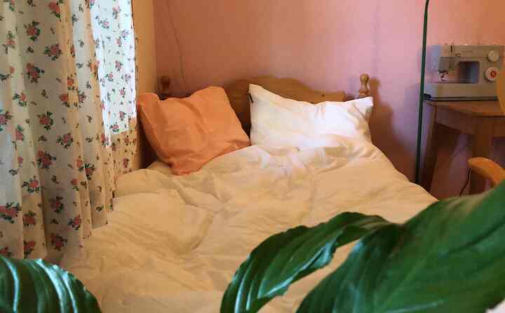 ピンクの壁と白い寝具のある居心地の良い寝室、木製のベッドフレームと花柄のカーテン、緑の植物が空間のアクセントになっているインテリア