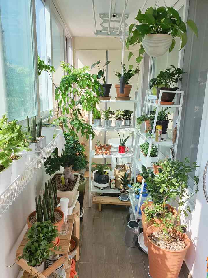 白とナチュラルな木目調が調和するベランダ、豊富な植物と棚が配置された雰囲気のあるインテリア