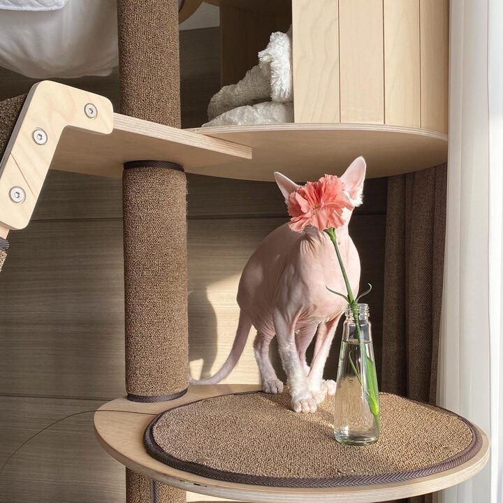 short form carousel card thumbnail