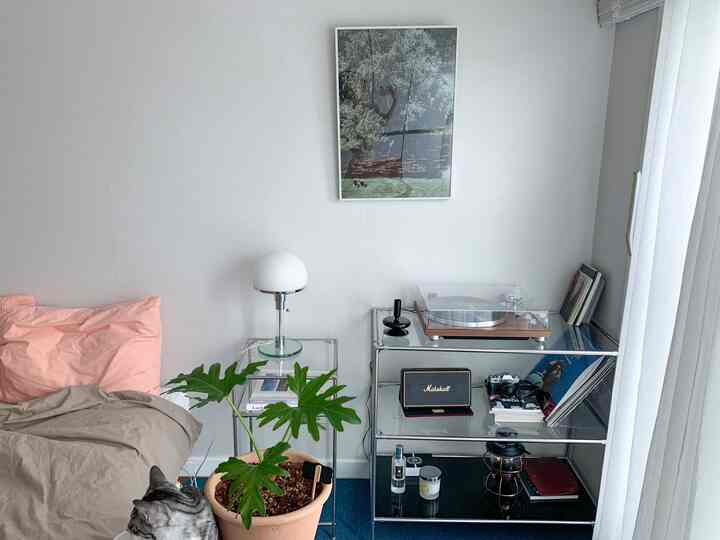 Clean bedroom with blue carpet and beige bedding, featuring a cat, turntable, and modern natural décor elements