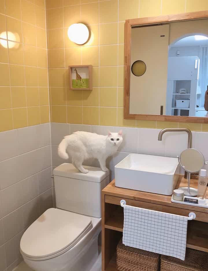 Bathroom with yellow tiled walls and wooden vanity; a white cat perched on the toilet tank