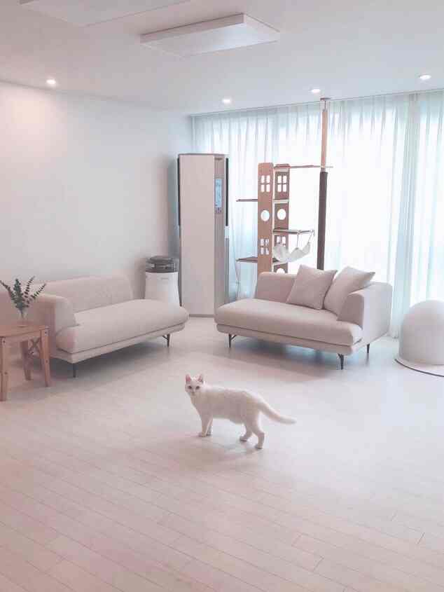 Bright living room in white and natural tones featuring two sofas and a cat tower with a clean, airy atmosphere