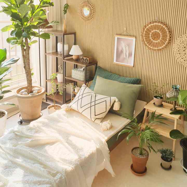 Sunlit bedroom with natural tones and green plants, featuring rattan decor and cushions for a cozy atmosphere