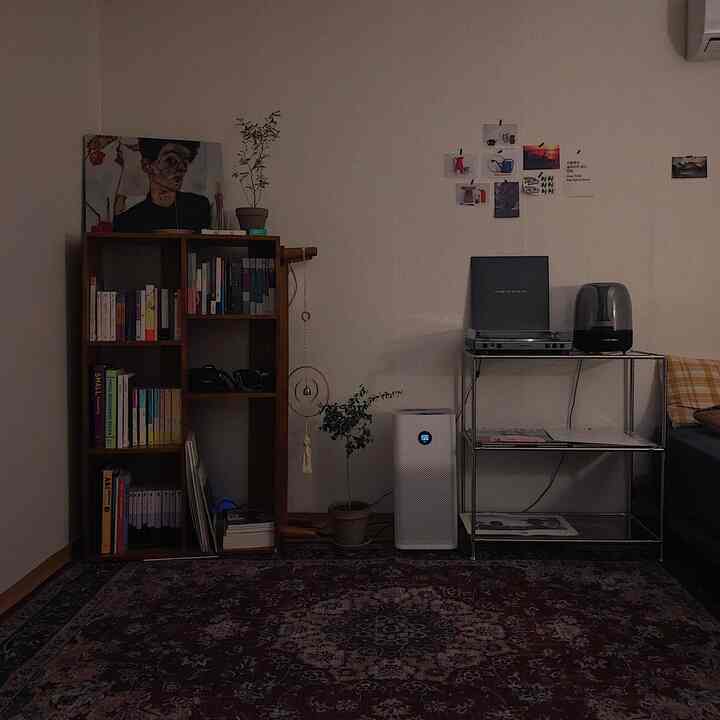 White-walled living room with wood-toned furniture in a 6-tatami sized space, featuring a vintage rug and air purifier for a cozy atmosphere