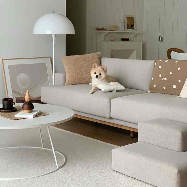 ライトグレーとベージュの色調のリビング、モダンなソファとフロアランプ、そしてくつろぐ子犬がいる雰囲気のあるインテリア