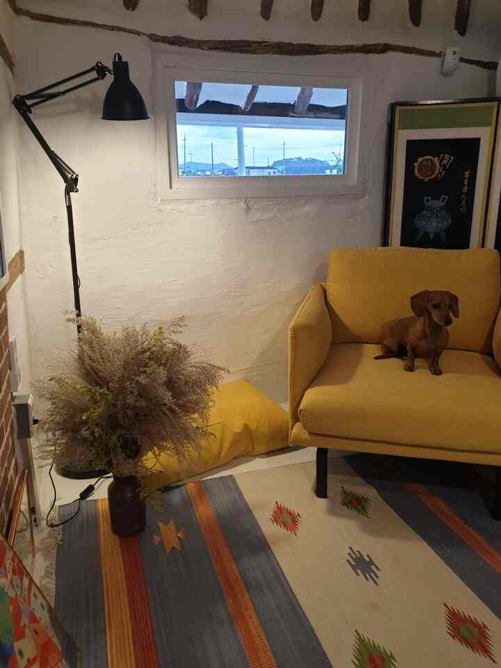 イエローのソファとラグが配置された狭い部屋、ソファに座る犬がいるナチュラルでヴィンテージ感のあるインテリア