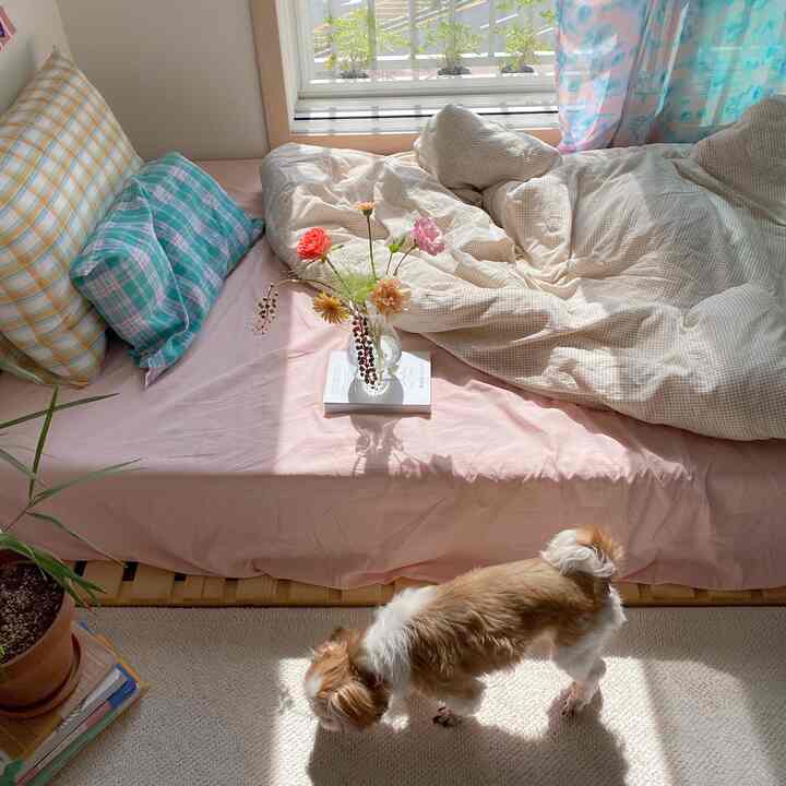 A cozy bedroom in soft beige and pink tones featuring bedding, window curtains, a flower vase, and a small dog on the floor in a natural compact space