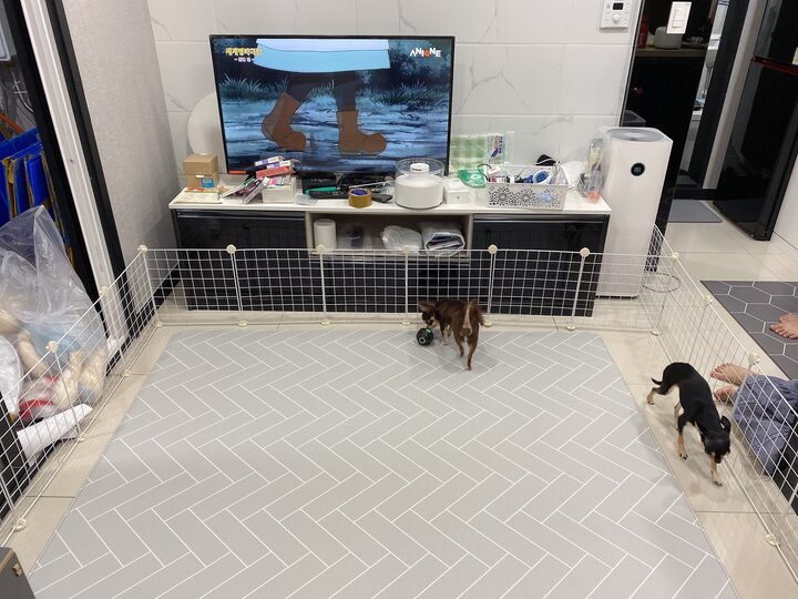 short form carousel card thumbnail