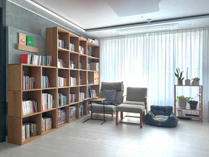 Bright study space with white and wood tones featuring a large bookshelf, armchairs, pet bed, and plants for a cozy atmosphere