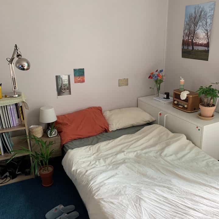 A white and brown toned bedroom featuring a single mattress, plants, and posters creating a natural and simple ambiance