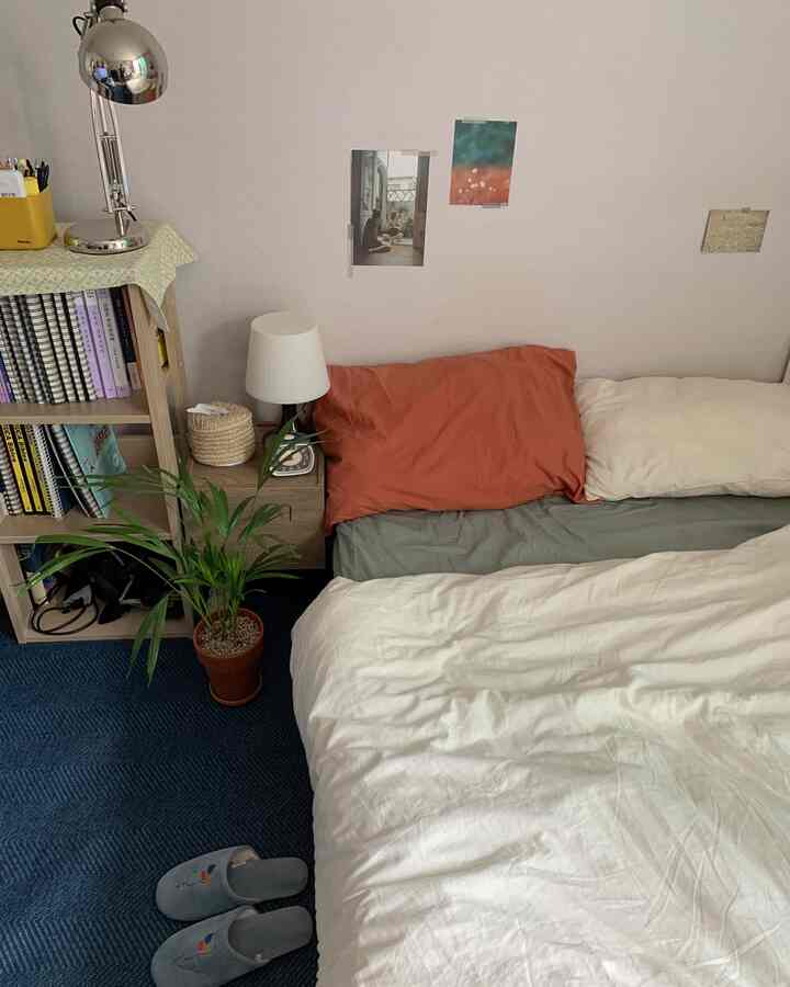 Natural-toned studio bedroom with blue rug, wooden bookshelf, and plant arranged in a cozy setting