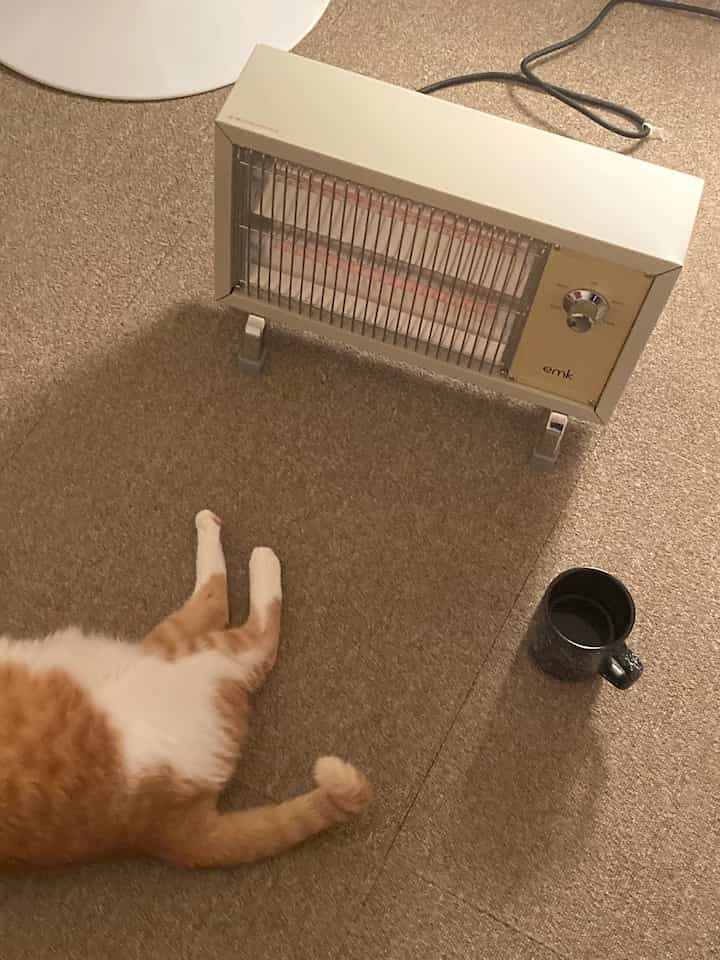 ベージュ色のカーペット床とクラシックな電気ヒーター、くつろぐ猫がいる温かみのある空間