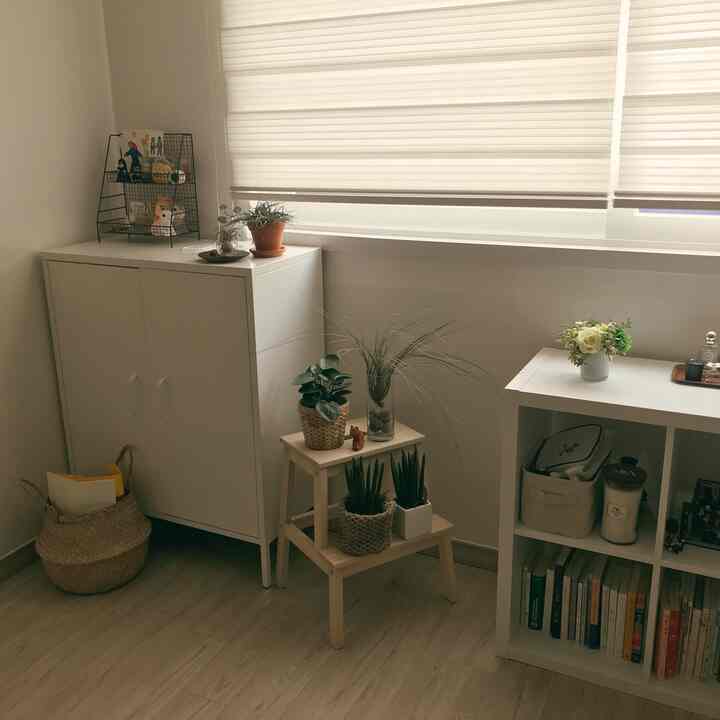 Cozy tidy space featuring wood tone flooring, natural color cabinet and bookshelf, with various plants arranged