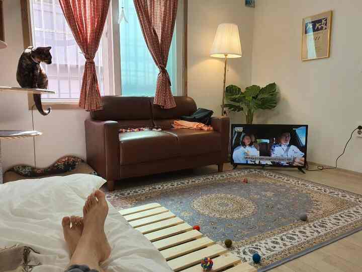 Natural living room with brown sofa, red check curtains, Persian carpet, and a cat perched near window