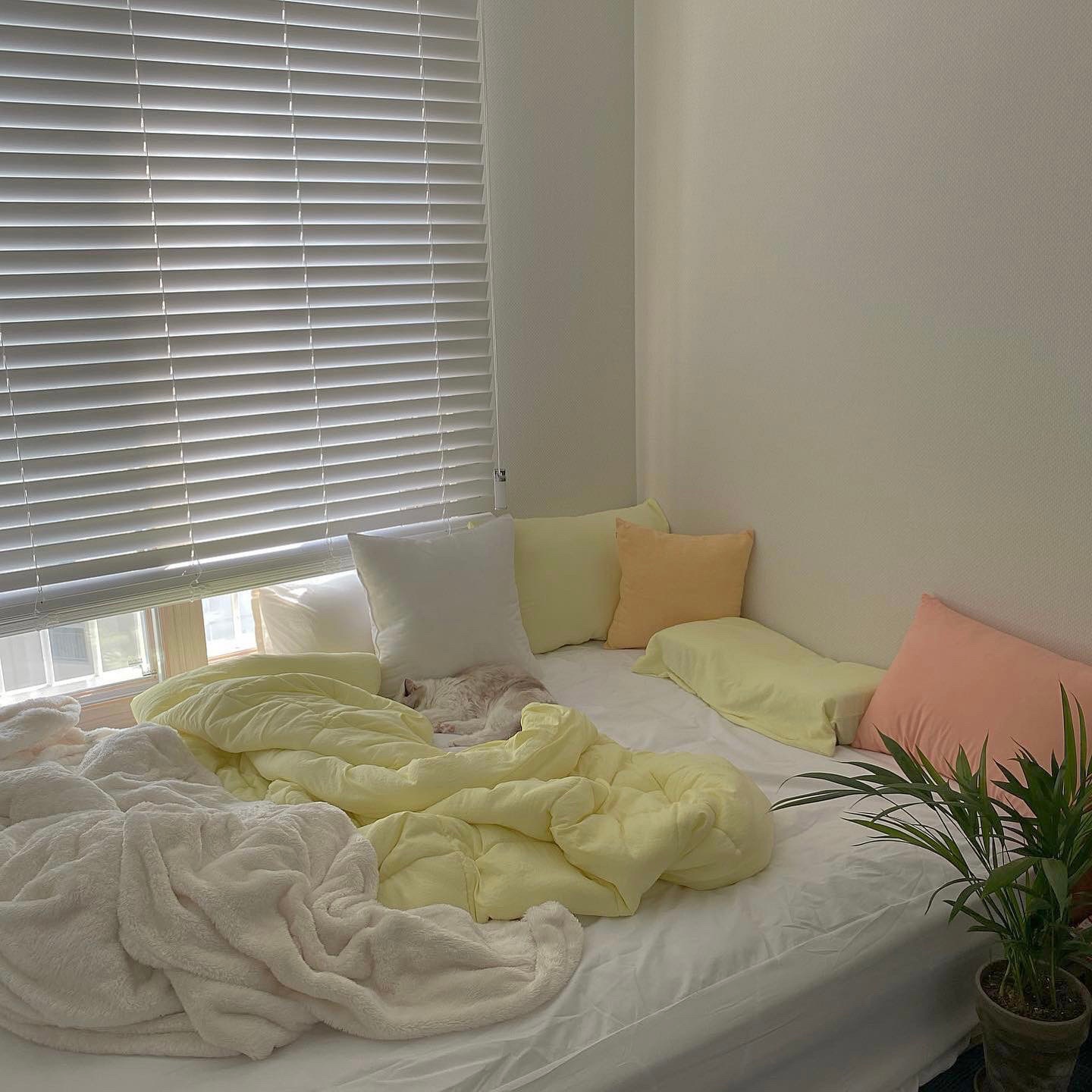 Waterproof Mattress Protector / Cover user photo