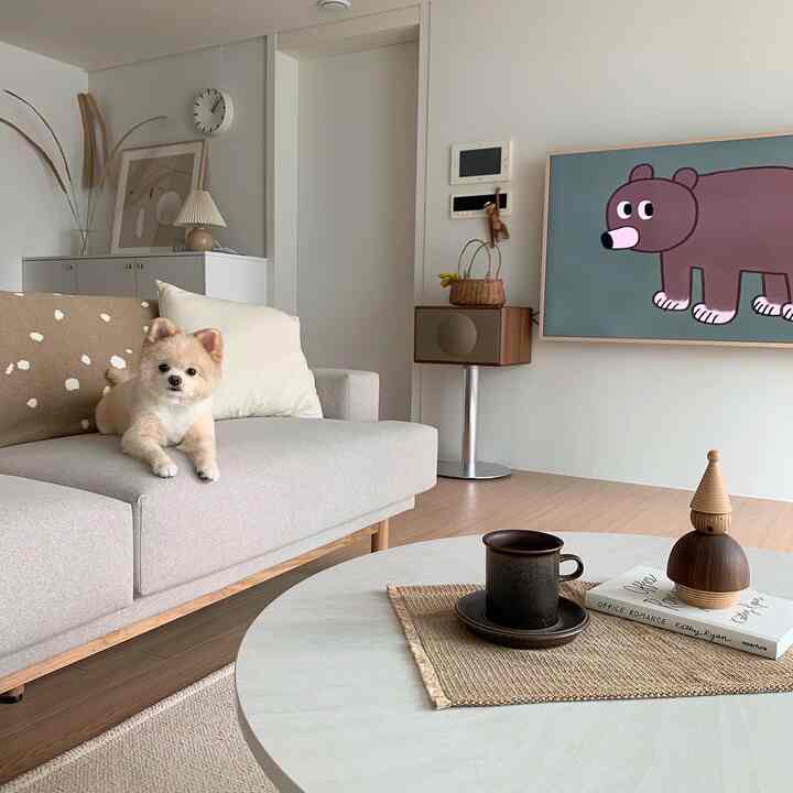 白い壁と茶色の木目調の床があるリビング、シンプルモダンなソファに犬が座り、自然な雰囲気のある空間