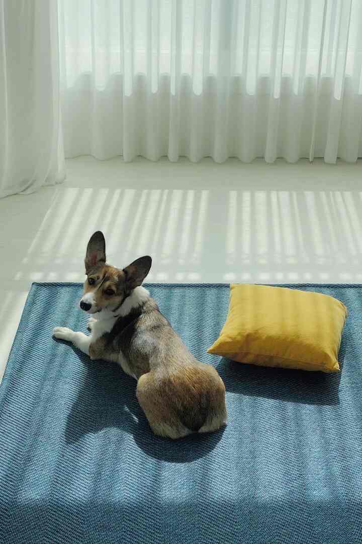 조용하던 2인 가구의 집에, 식구가 하나 더 늘었어요. 길고 긴 고민 끝에 유기견을 입양하게 되었습니다. 엄마 아빠가 누군지도, 정확한 생일이 언제인지도 모르지만 세상을 떠날 그 날까지 함께할 “도토리” 에요! 