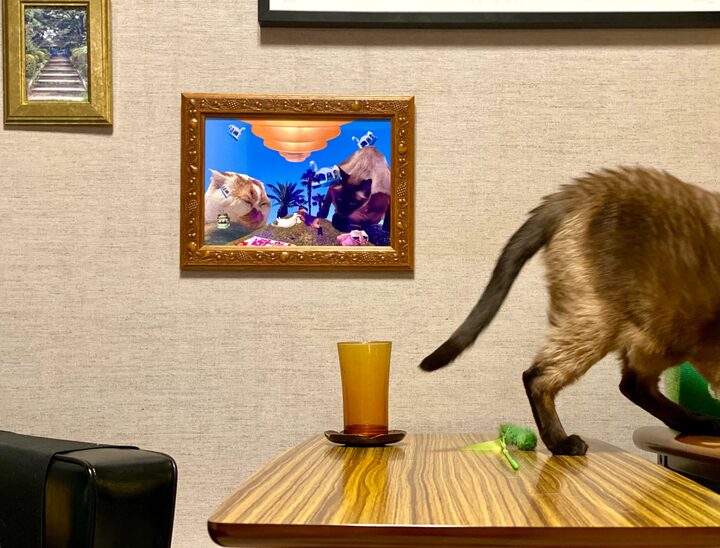 short form carousel card thumbnail